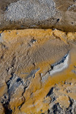 Upper Geyser Basin, algae pattern