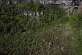 Los Gemellos, Santa Cruz Island