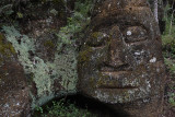 Floreana Island