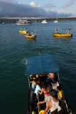 Coming from Las Gretas, Santa Cruz Island