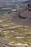 Fertile valley
