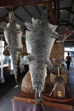 Tonle Sap