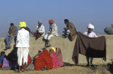Pushkar Camel Fair