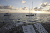 Caye Caulker