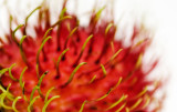 Rambutan