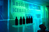 Whole Icebar 全部都是冰做成的酒吧