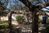 CHRISTMAS IN SAN ANTONIO TEXAS