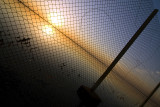 through the net