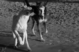 beach fun