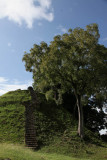 Altun Ha ruins in Belize