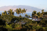 Maui 2010_02272010_002.jpg