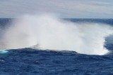 Maui 2010_03082010_652.jpg