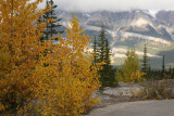 Icefields Parkway