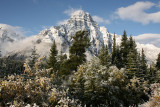 Icefields Parkway