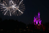 Fireworks at theMagic Kingdom