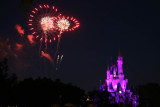 Fireworks at the Magic Kingdom