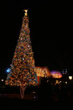 Christmas Tree at EPCOT