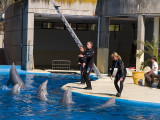 Show en el Zoo-Aquarium de Madrid