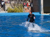 Show en el Zoo-Aquarium de Madrid