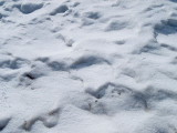 Nieve / Snow