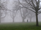 Fog in Hyde Park.jpg