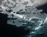 Ice Diving 0845.jpg