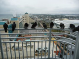 Even the Pigeons are Cold in Daytona Beach