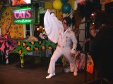 Elvis at Cats Meow