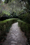Hedged pathway