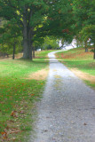 Walking path