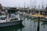 Fishermans Wharf  marina