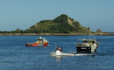 Island Bay seascape.jpg