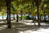 Isla-Saona-12.jpg