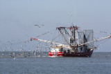 Shrimp Boat