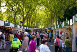 Chelsea Flower Show 1