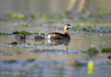 Maman grbe et deux bbs #0624.jpg