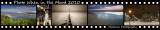 Photo When in the Mood 2010 Banner