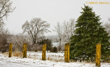 _DSC4832.jpg