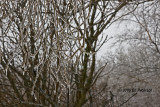 _DSC4816.jpg