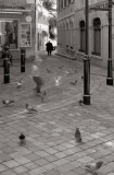 Scaring Pigeons, Gibraltar, 2002