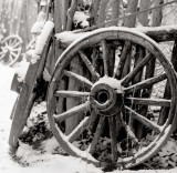 Wagon Wheels no. 2, Garden of the Gods, Colorado, 1998