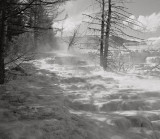 Mammoth Geyser, Yellowstone, 2001