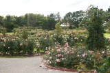 Victorian State Rose Garden 8