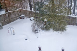 Backyard looking down from bedroom