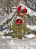 White Christmas