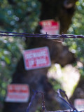 <B>Beware of Dog</B> <BR><FONT SIZE=2>Placerville, California - May 2008<</FONT>