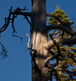 Spotlight Fallen Leaf Lake, Lake Tahoe, California - May 2008