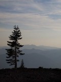 <B>Late View</B> <BR><FONT SIZE=2>Mt. Shasta, California - September 2008</FONT>