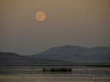 <B>Moon Rise</B> <BR><FONT SIZE=2>Tule Lake, California - September 2008</FONT>