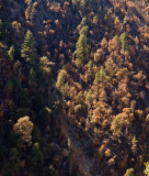 Canyon Wooded Wall Klamath River, California- September, 2008